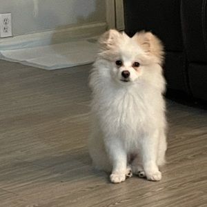 Meet your Posher, Gilma